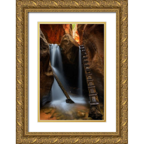 Waterfall Gold Ornate Wood Framed Art Print with Double Matting by Zhang, Johnny