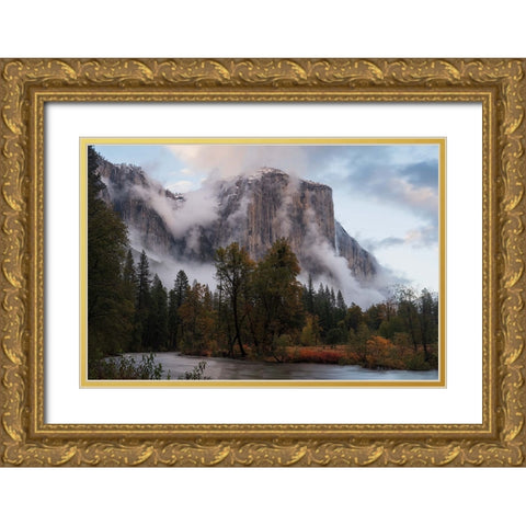 Fall Color In Mist Gold Ornate Wood Framed Art Print with Double Matting by Shi, Mei