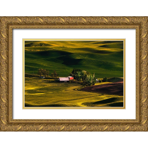 Palouse Wheat Fields Gold Ornate Wood Framed Art Print with Double Matting by Dickau, Kristel