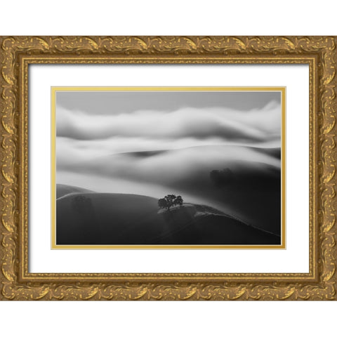 A Tree In Fog Gold Ornate Wood Framed Art Print with Double Matting by Mao, Dianne