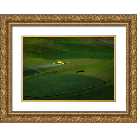 The Airplane And The Palouse Gold Ornate Wood Framed Art Print with Double Matting by Bao, Shuqing