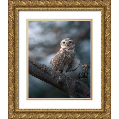The Wise Of The Jungle Gold Ornate Wood Framed Art Print with Double Matting by Rawat, Chaitanya