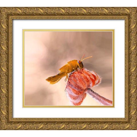 Hamburger For The Meal... Gold Ornate Wood Framed Art Print with Double Matting by Dufour, Thierry