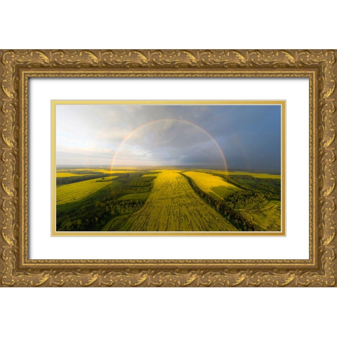 An Exotic Look At The Rainbow Gold Ornate Wood Framed Art Print with Double Matting by Doronin, Dmitry