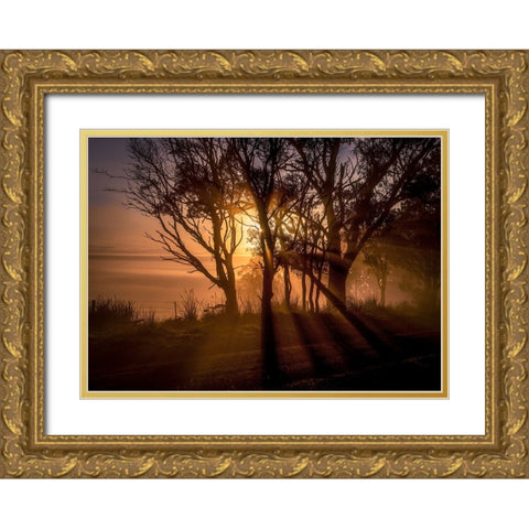 Sunrise Over Morning Mist Gold Ornate Wood Framed Art Print with Double Matting by Ma, Frank