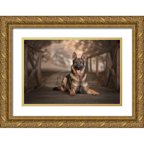 WhoS Ready For Autumn? Gold Ornate Wood Framed Art Print with Double Matting by Kuplenk, Nika