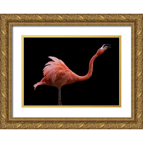 Flamingo Gold Ornate Wood Framed Art Print with Double Matting by Tsikiridis, Georgios