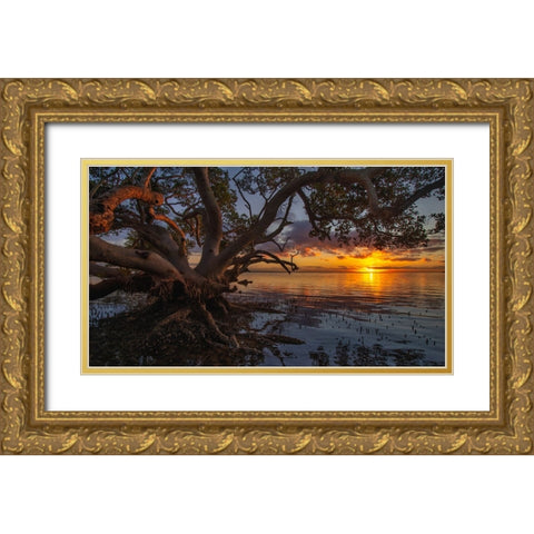 Sunrise At Nudgee Beach Gold Ornate Wood Framed Art Print with Double Matting by Papamanolis, Emanuel