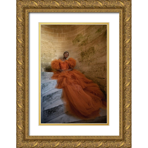Beauty In Orange 1 Gold Ornate Wood Framed Art Print with Double Matting by Dixon, Colin