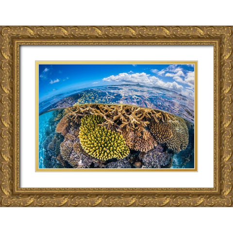 At Low Tide Gold Ornate Wood Framed Art Print with Double Matting by Gabriel, Barathieu