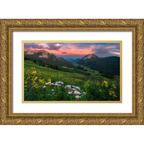 Blooming In The Valley Gold Ornate Wood Framed Art Print with Double Matting by Xu, Mei