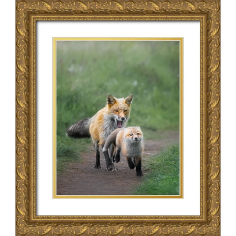 AÂ€ÂœSlow Down-My Baby!AÂ€Â Gold Ornate Wood Framed Art Print with Double Matting by Zhang, Joan