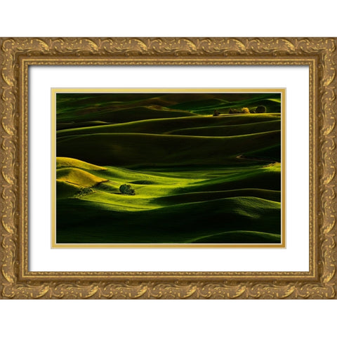 Palouse Wheat Fields Gold Ornate Wood Framed Art Print with Double Matting by Dickau, Kristel