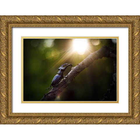 Way To The Sun Gold Ornate Wood Framed Art Print with Double Matting by Bykanova, Victoria