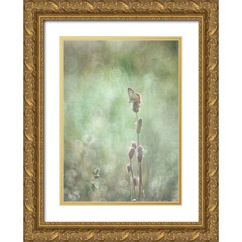 Bubbleliscious Gold Ornate Wood Framed Art Print with Double Matting by Van Helden, Elisabeth
