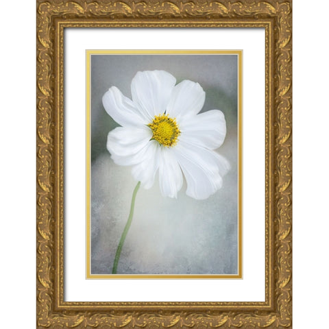 White Calliopsis Gold Ornate Wood Framed Art Print with Double Matting by GaoSL