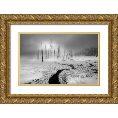 Winter Solstice Gold Ornate Wood Framed Art Print with Double Matting by An, Anna