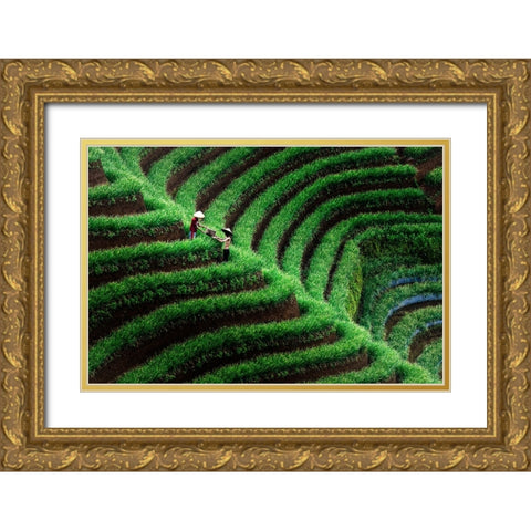 Majalengka Terasering Gold Ornate Wood Framed Art Print with Double Matting by Bunjamin (Abe), Antonyus