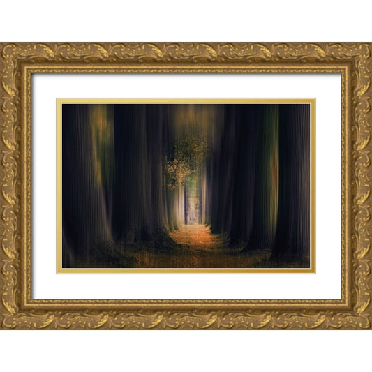 Perspective Image