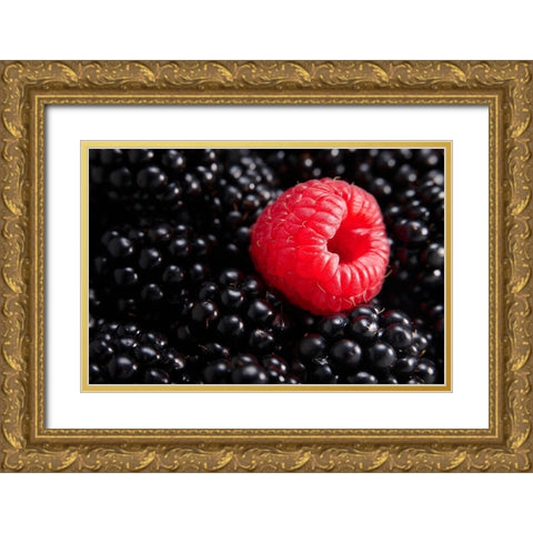 Berry different Gold Ornate Wood Framed Art Print with Double Matting by Sokac, Drazen