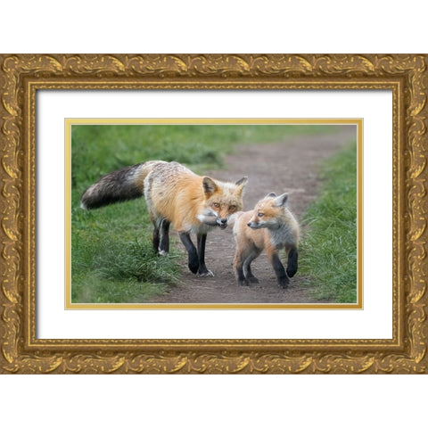 AÂ€ÂœI Catch You!AÂ€Â Gold Ornate Wood Framed Art Print with Double Matting by Zhang, Joan