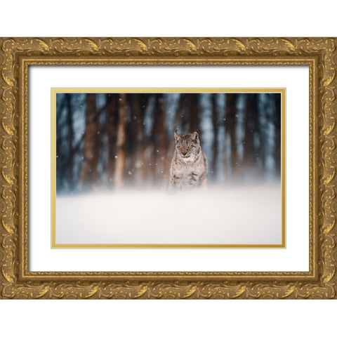 Amidst Snowstorm Gold Ornate Wood Framed Art Print with Double Matting by Furch, Lukas