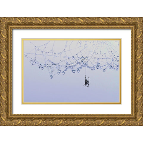 Trasparency Gold Ornate Wood Framed Art Print with Double Matting by Pizzocaro, Giorgio