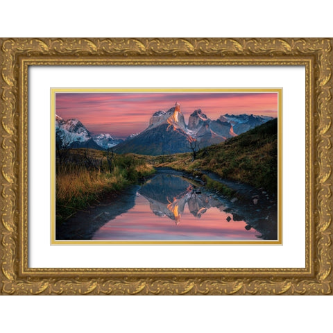 Cuernos Del Paine Sunrise Gold Ornate Wood Framed Art Print with Double Matting by Jin, Jie