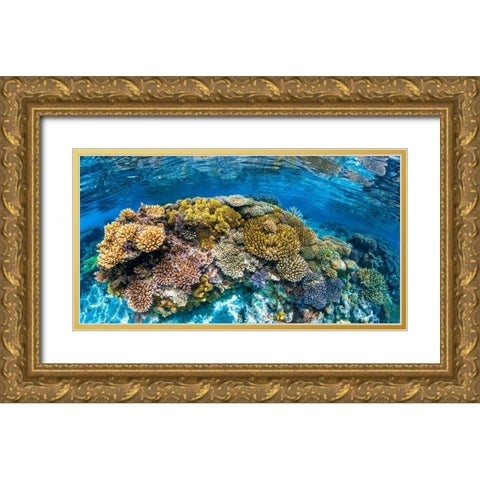 Panoreef Gold Ornate Wood Framed Art Print with Double Matting by Gabriel, Barathieu