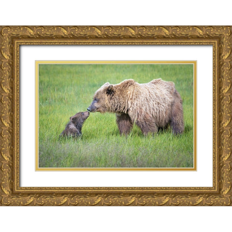 Not Seeing Eye To Eye.... Gold Ornate Wood Framed Art Print with Double Matting by C. Sink, Jeffrey