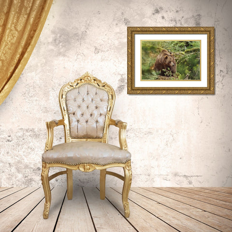 On A Trip... Gold Ornate Wood Framed Art Print with Double Matting by Svestka, Jiri