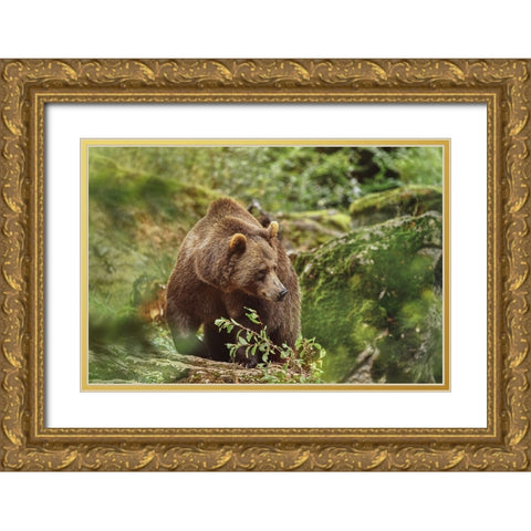On A Trip... Gold Ornate Wood Framed Art Print with Double Matting by Svestka, Jiri