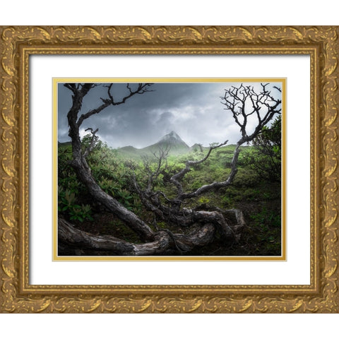 Yunnan wasteland Gold Ornate Wood Framed Art Print with Double Matting by Hou, Minghao
