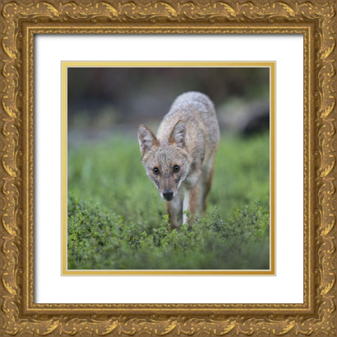 Untitled Gold Ornate Wood Framed Art Print with Double Matting by Fruman, Yevgeny