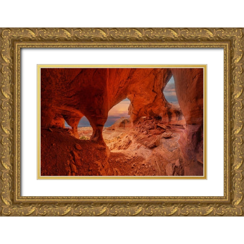 Hidden Wonder in Badland Gold Ornate Wood Framed Art Print with Double Matting by Zheng, Michael