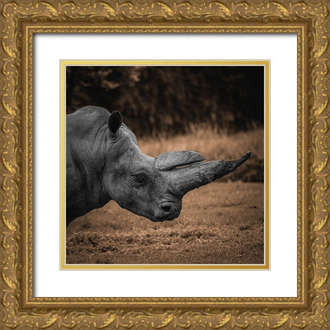Rhinoceros Gold Ornate Wood Framed Art Print with Double Matting by Tsikiridis, Georgios