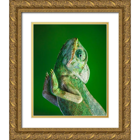 Praying! Gold Ornate Wood Framed Art Print with Double Matting by Elkahlawi, Ahmed