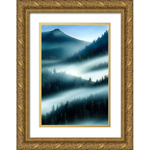 FLY OOVER THE MOUNTAIN Gold Ornate Wood Framed Art Print with Double Matting by Allicot, Manu