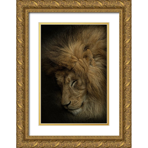 Healing Heart Gold Ornate Wood Framed Art Print with Double Matting by Nakatsuka, Takayuki