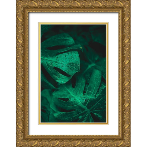 Green like life Gold Ornate Wood Framed Art Print with Double Matting by Hamedani, Ardalan