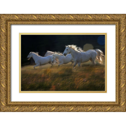 Pass Gold Ornate Wood Framed Art Print with Double Matting by Malovrh, Milan