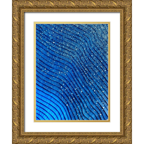 Star Light Star Bright Gold Ornate Wood Framed Art Print with Double Matting by Mann, Tara