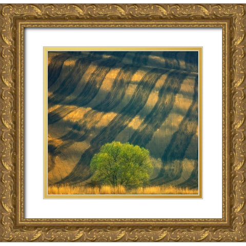 Tree ... Gold Ornate Wood Framed Art Print with Double Matting by Browko, Krzysztof
