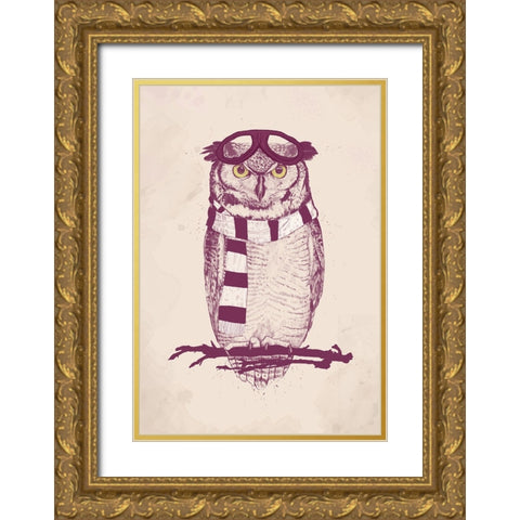 The aviator Gold Ornate Wood Framed Art Print with Double Matting by Solti, Balazs