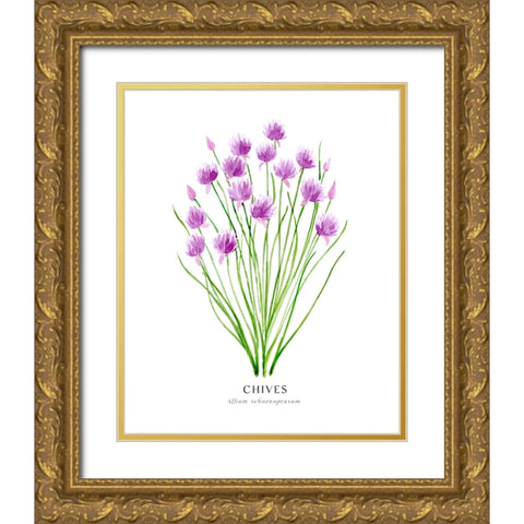Chives I Gold Ornate Wood Framed Art Print with Double Matting by Laiz Blursbyai, Rosana