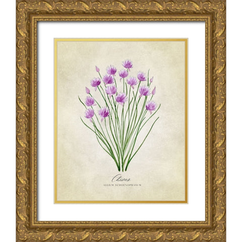 Chives vintage Gold Ornate Wood Framed Art Print with Double Matting by Laiz Blursbyai, Rosana