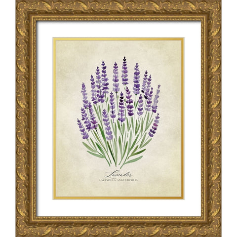 Lavender vintage Gold Ornate Wood Framed Art Print with Double Matting by Laiz Blursbyai, Rosana