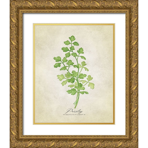 Parsley vintage Gold Ornate Wood Framed Art Print with Double Matting by Laiz Blursbyai, Rosana