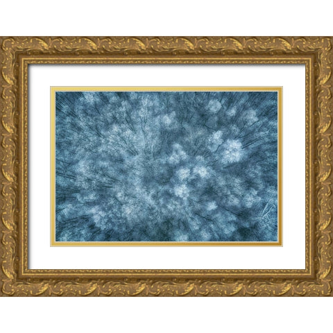 Winter Forest Gold Ornate Wood Framed Art Print with Double Matting by Krier, Guy