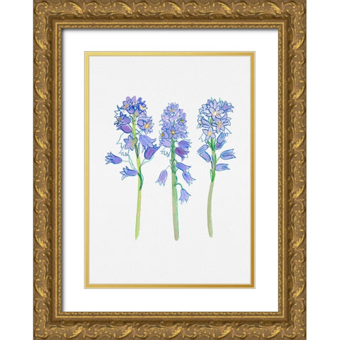 Spanish bluebell or Hyacinthoides hispanica botanical illustration Gold Ornate Wood Framed Art Print with Double Matting by Kata Botanical